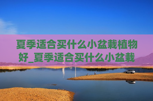 夏季适合买什么小盆栽植物好_夏季适合买什么小盆栽植物