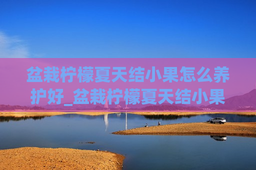 盆栽柠檬夏天结小果怎么养护好_盆栽柠檬夏天结小果怎么养