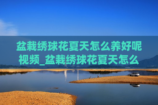 盆栽绣球花夏天怎么养好呢视频_盆栽绣球花夏天怎么养好呢