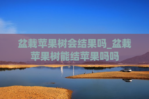 盆栽苹果树会结果吗_盆栽苹果树能结苹果吗吗