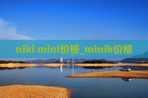 niki mini价格_minik价格