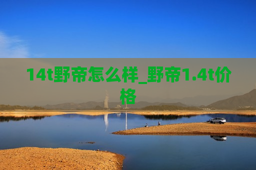 14t野帝怎么样_野帝1.4t价格