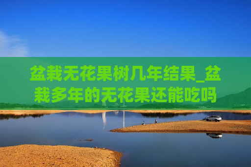 盆栽无花果树几年结果_盆栽多年的无花果还能吃吗