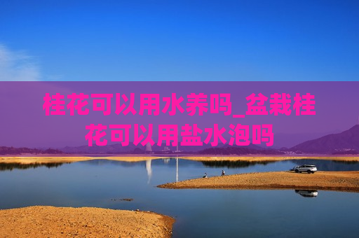 桂花可以用水养吗_盆栽桂花可以用盐水泡吗