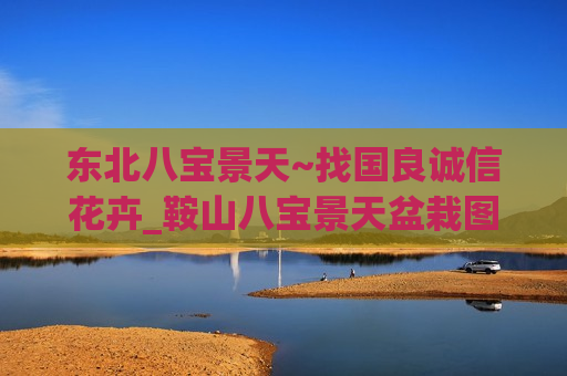 东北八宝景天~找国良诚信花卉_鞍山八宝景天盆栽图片基地