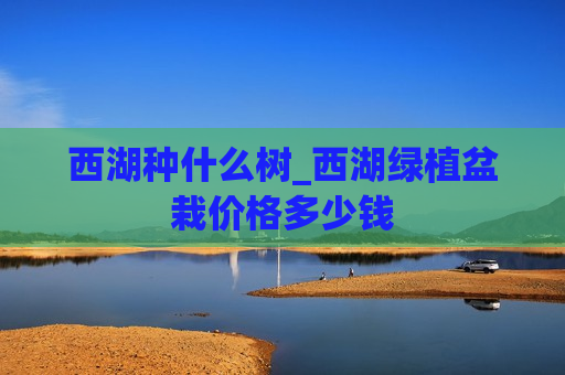 西湖种什么树_西湖绿植盆栽价格多少钱