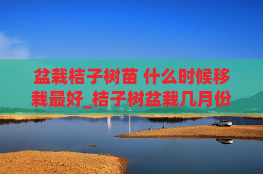 盆栽桔子树苗 什么时候移栽最好_桔子树盆栽几月份种植最好