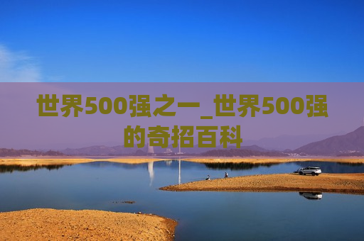 世界500强之一_世界500强的奇招百科