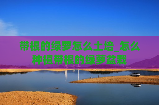 带根的绿萝怎么土培_怎么种植带根的绿萝盆栽