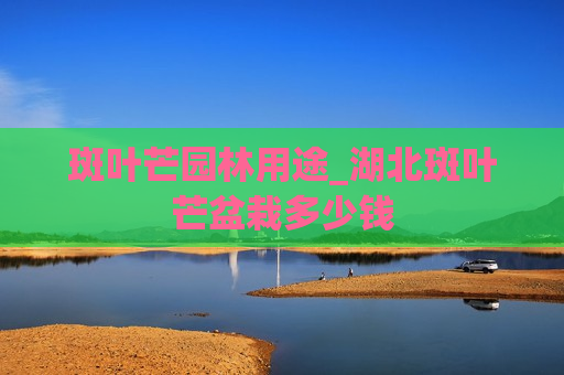 斑叶芒园林用途_湖北斑叶芒盆栽多少钱