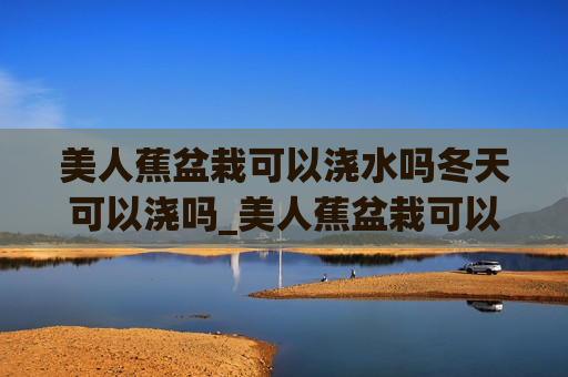 美人蕉盆栽可以浇水吗冬天可以浇吗_美人蕉盆栽可以浇水吗冬天