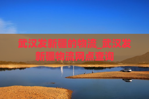 武汉发新疆的物流_武汉发新疆物流网点查询