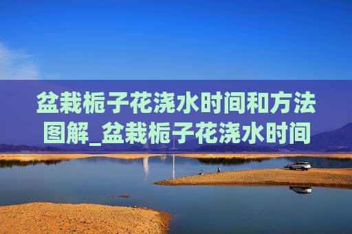 盆栽栀子花浇水时间和方法图解_盆栽栀子花浇水时间和方法