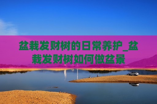 盆栽发财树的日常养护_盆栽发财树如何做盆景