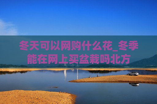 冬天可以网购什么花_冬季能在网上买盆栽吗北方