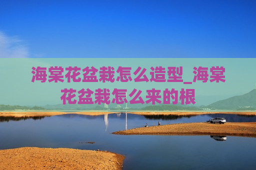 海棠花盆栽怎么造型_海棠花盆栽怎么来的根