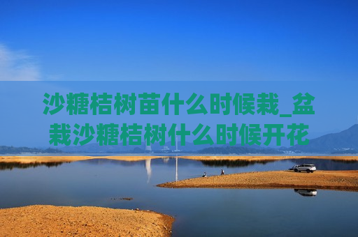 沙糖桔树苗什么时候栽_盆栽沙糖桔树什么时候开花