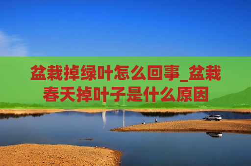 盆栽掉绿叶怎么回事_盆栽春天掉叶子是什么原因