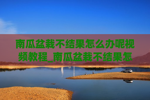 南瓜盆栽不结果怎么办呢视频教程_南瓜盆栽不结果怎么办呢