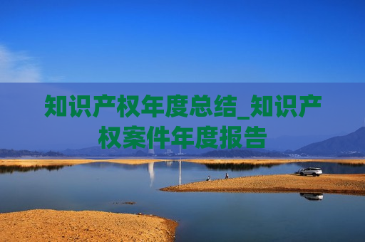 知识产权年度总结_知识产权案件年度报告